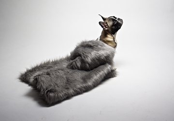 afbeelding-3-webshop-giftcard_20181119093020