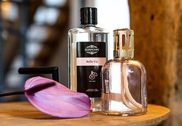 Scentchips_291020_1475_AS-360x250_20220112105353373