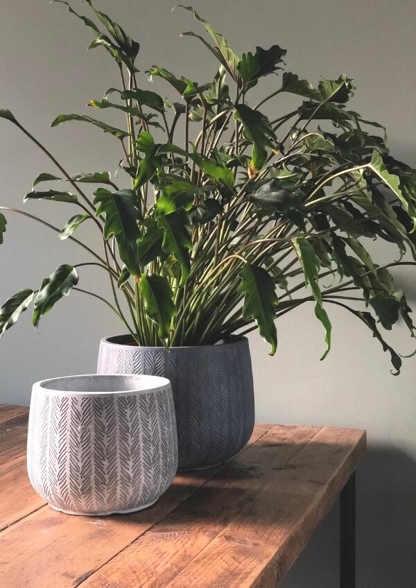 Trendy bloempot (150 x 212 px) (600 x 848 px)_20220314095838657