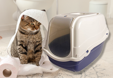 kattenbak_20210416113436